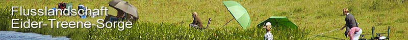 Angler an der Treene