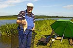 Angler an der Treene